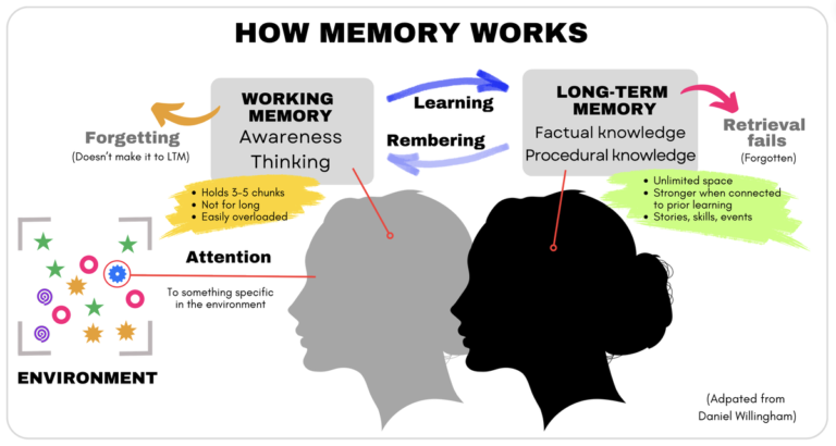My Brain Is Full How Memory Works Coachdev Org