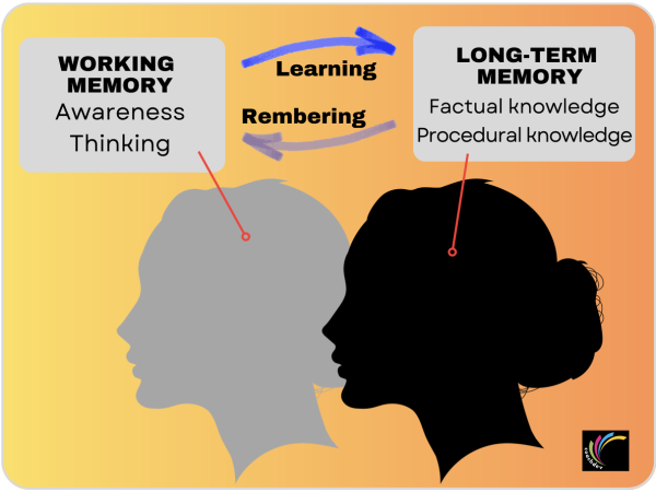 Brain Full Img_AP